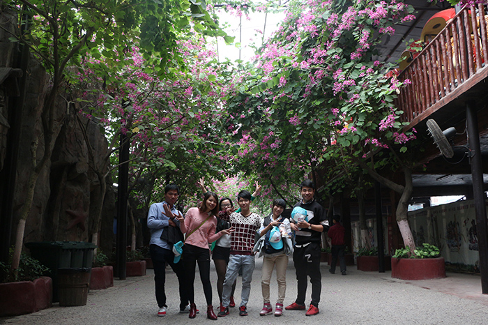 圣元電器愉快的旅途即將結(jié)束